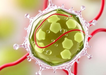 Zinc-Locked Herbal Hydrogel Attacks Tumors and Their Blood Supply at Once