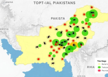 Ticks and Tropical Theileriosis Mapped Across Northern Pakistan's Livestock Herds