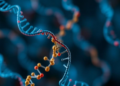 New Scoring Method Pinpoints the Rare Genetic Variants That Matter Most for Common Diseases