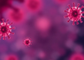 High-Risk HPV Genotypes Not Covered by Vaccines Dominate Cervical Infections in Lagos Women
