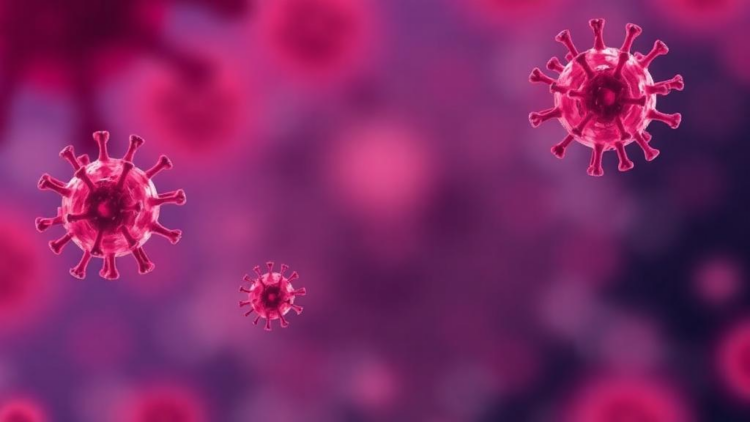 High-Risk HPV Genotypes Not Covered by Vaccines Dominate Cervical Infections in Lagos Women