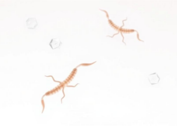 Algae Toxin in Urine Linked to Poorer Sperm Quality in Landmark Men's Health Study