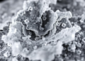 Deep-Freeze Shock Technique Unlocks Giant Flakes of Magic Graphene