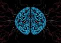 Hidden Symmetry Found in the Brain's Messy Head-Direction Circuits