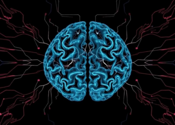 Hidden Symmetry Found in the Brain's Messy Head-Direction Circuits