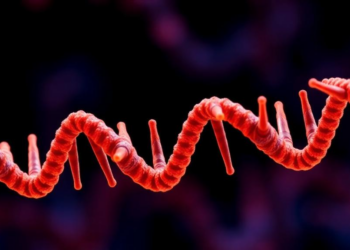 Tiny genetic switches: how microexons quietly rewire where proteins live in our cells