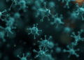 Bacterial Enzymes Reveal a Hidden NADPH Weakness in Aging Cells