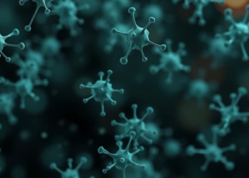 Bacterial Enzymes Reveal a Hidden NADPH Weakness in Aging Cells