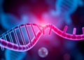 Hidden RNA Molecule Drives Ovarian Cancer Growth by Activating Key Stress Pathway