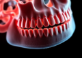 Blood enzyme linked to jawbone destruction reveals surprise role for stress hormones in bone disease