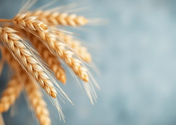 Genomic Selection Models Predict Wheat Baking Quality Years Earlier, New Study Shows