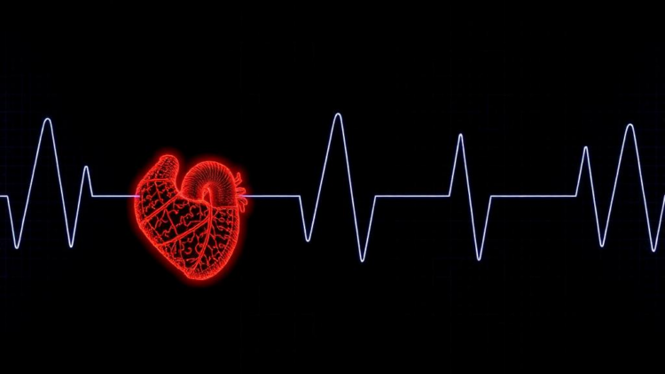 When AI Outruns the Doctor: A New Framework Measures the Human Oversight Gap in Cardiology