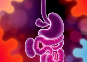 Gut Microbes Track With Autism Symptoms, but Inflammation Tells a Different Story