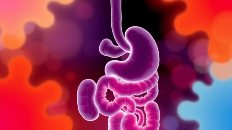 Gut Microbes Track With Autism Symptoms, but Inflammation Tells a Different Story