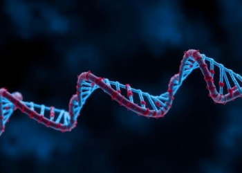 Cutavirus DNA Linked to Poorer Outcomes in HPV-Negative Throat Cancer