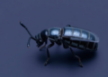 Chagas Parasite Keeps Its Gene Expression Playbook Across Strains, Study Finds