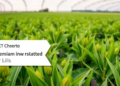 Sharper Shots, Better Numbers: Imaging Method Tames Variance in Crop Disease Estimates