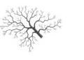 Genome Notes at Scale: Tree of Life Aims for 200 Publications a Month