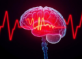 AI Warns of Dangerous Brain Pressure Hours Before It Strikes, Multicentre Study Confirms