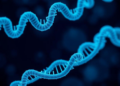 New Protein Structure Alignment Tool Finds Distant Relatives Faster Than Ever