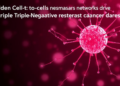 Hidden Cell-to-Cell Messaging Networks Drive Triple-Negative Breast Cancer Resistance