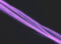 Plasma-Treated Cellulose Fibers Make Cement Composites Tougher, Study Finds