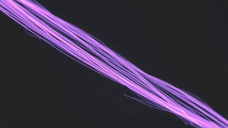 Plasma-Treated Cellulose Fibers Make Cement Composites Tougher, Study Finds