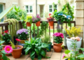 Gardens, Balconies and Nature: The Untapped Health Resource Sitting Outside Care Homes