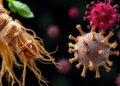Ginseng Compound Shows Promise Against Cancer and Superbugs in Virtual Screening