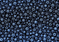 Carbon Dots and Titanium Dioxide Turn Polymer Membranes into Antibiotic-Destroying Water Filters