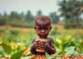 Hidden Costs in the Coffee Cup: Hazardous Child Labour Persists on Uganda's Smallholder Farms