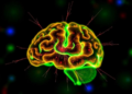 Brain Tumor Biomarker Survives Tough Test: MGMT Signal Holds After Batch Effect Scrutiny
