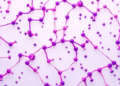 CoMeDA Brings Compositional Rigor and Batch Correction to Microbiome Analysis