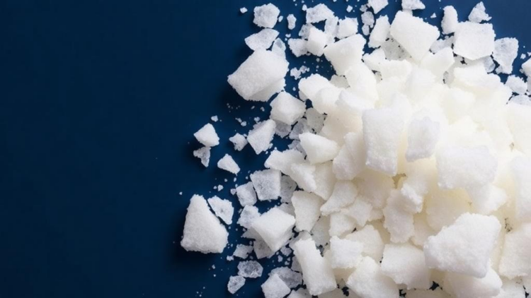Diabetes Drug Acarbose Turns Sugar Into an Anti-Obesity Ally by Rewiring Gut Microbes
