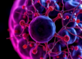 Aging Disc Cells Lose a Key Signal That Calls Immune Cells to Heal Injured Spines