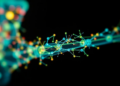Glowing Bone Mineral Nanofibers Could Carry Drugs and Light Up Cells at Once