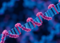 Ribosomal RNA Tag and a Detox Enzyme Form a Deadly Cancer Survival Circuit