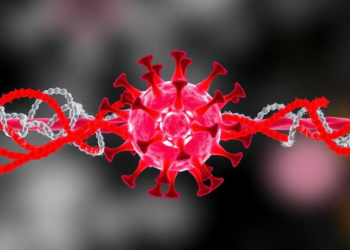 Split Inteins Offer a Viral-Protein-Free Route to Load Functional Enzymes into Extracellular Vesicles