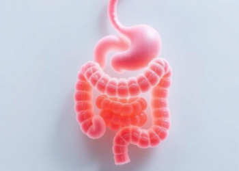 Gut diseases in miniature: organoids and organ-on-a-chip models reshape gastrointestinal research