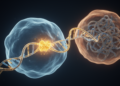 RNA Splicing Factor SRSF1 Emerges as a Powerful New Regulator of Aging
