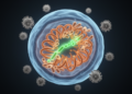 Beyond BRD4: Bromodomain Protein BRD9 Emerges as a New Regulator of Retroviral Latency