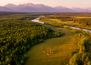 Earth May Already Be Far Closer to the 30x30 Conservation Goal Than We Thought