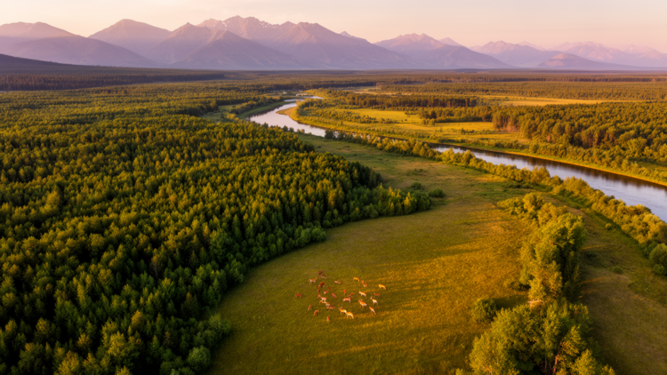 Earth May Already Be Far Closer to the 30x30 Conservation Goal Than We Thought