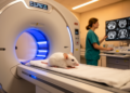 Photon-Counting CT Radiomics Reveal Age Signatures in Mouse Organs
