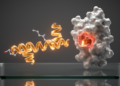 Buckwheat Compound Fagopyrine Emerges as Computational Lead for AKT1 Cancer Drug Design
