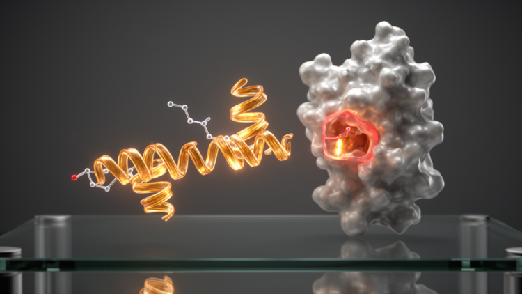 Buckwheat Compound Fagopyrine Emerges as Computational Lead for AKT1 Cancer Drug Design