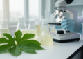Papaya Leaf Flavonoids Show Multi-Target Chemopreventive Effects Against Breast Cancer in Rats