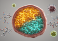 Esophageal Cancer at a Crossroads: Landmark Review Maps Molecular Drivers and Next-Generation Therapies
