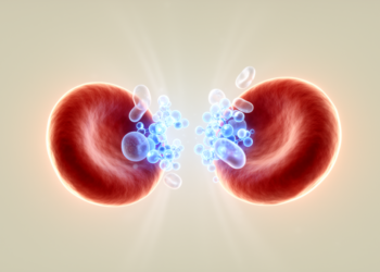 Scientists Discover a Molecular Repulsion System That Keeps Blood Pressure in Check