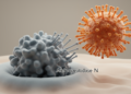 Aminopeptidase N is a receptor for hedgehog merbecoviruses